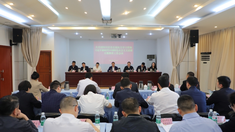 团省委召开学习贯彻习近平新时代中国特色社会主义思想主题教育工作会议