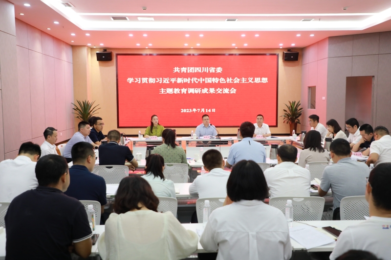 团省委召开主题教育调研成果交流会