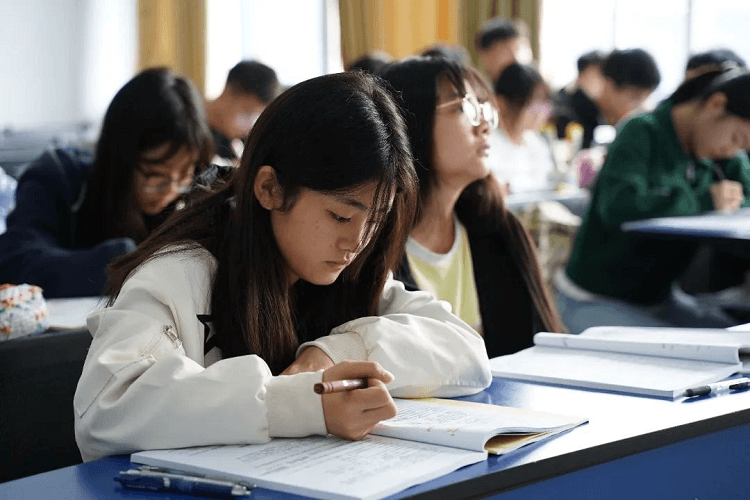 成都新华2024单招升学班开课啦！