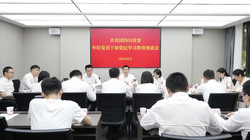 团省委召开年轻党员干部党纪学习教育座谈会